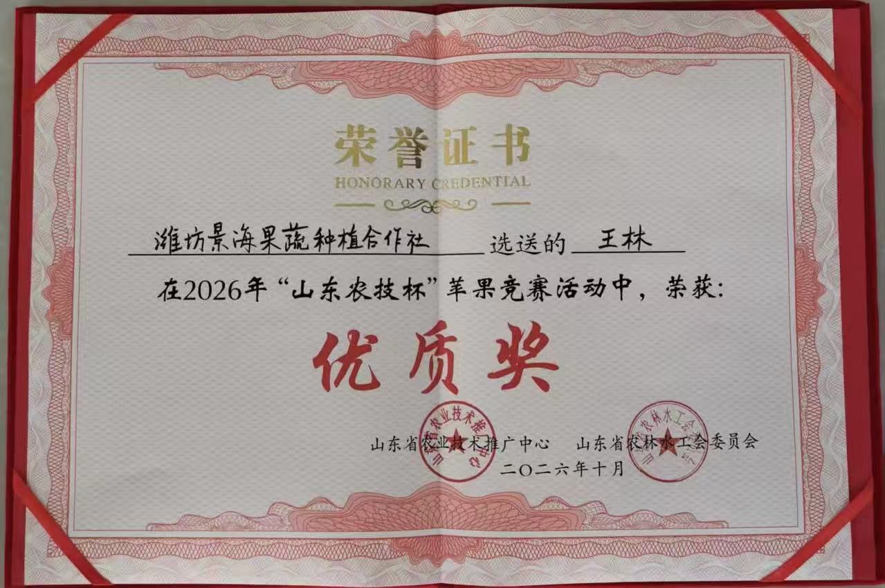 盐碱地结出优质果！潍坊滨海景海果业王林苹果斩获 “山东农技杯” 苹果竞赛优质奖