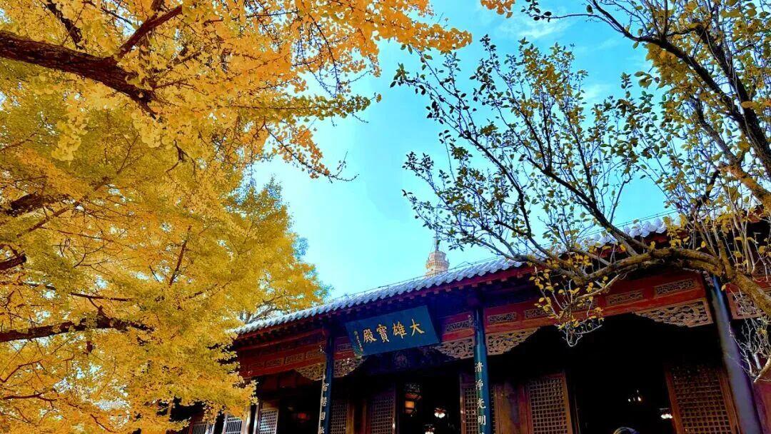 图源:济南灵岩胜境旅游区