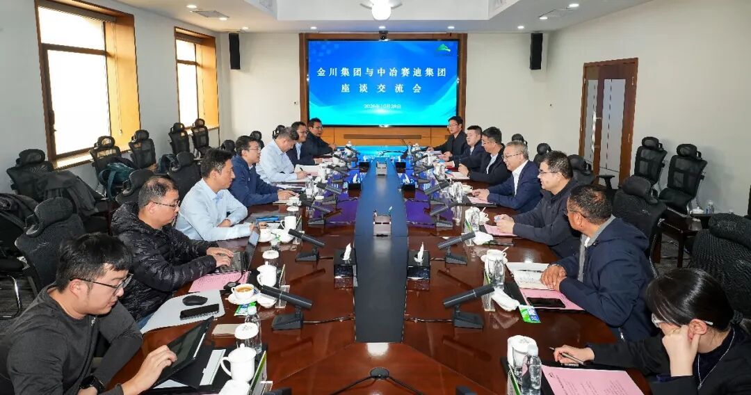 金川集团与中冶赛迪座谈交流 侯振国 摄