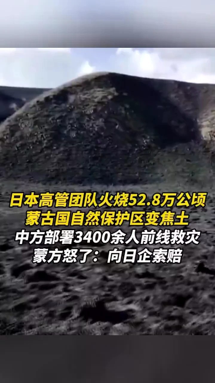 日本高管团队火烧52.8万公顷，蒙古国自然保护区变焦土