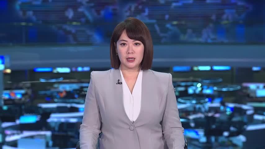 德国总统参观德国车企在华研发中心