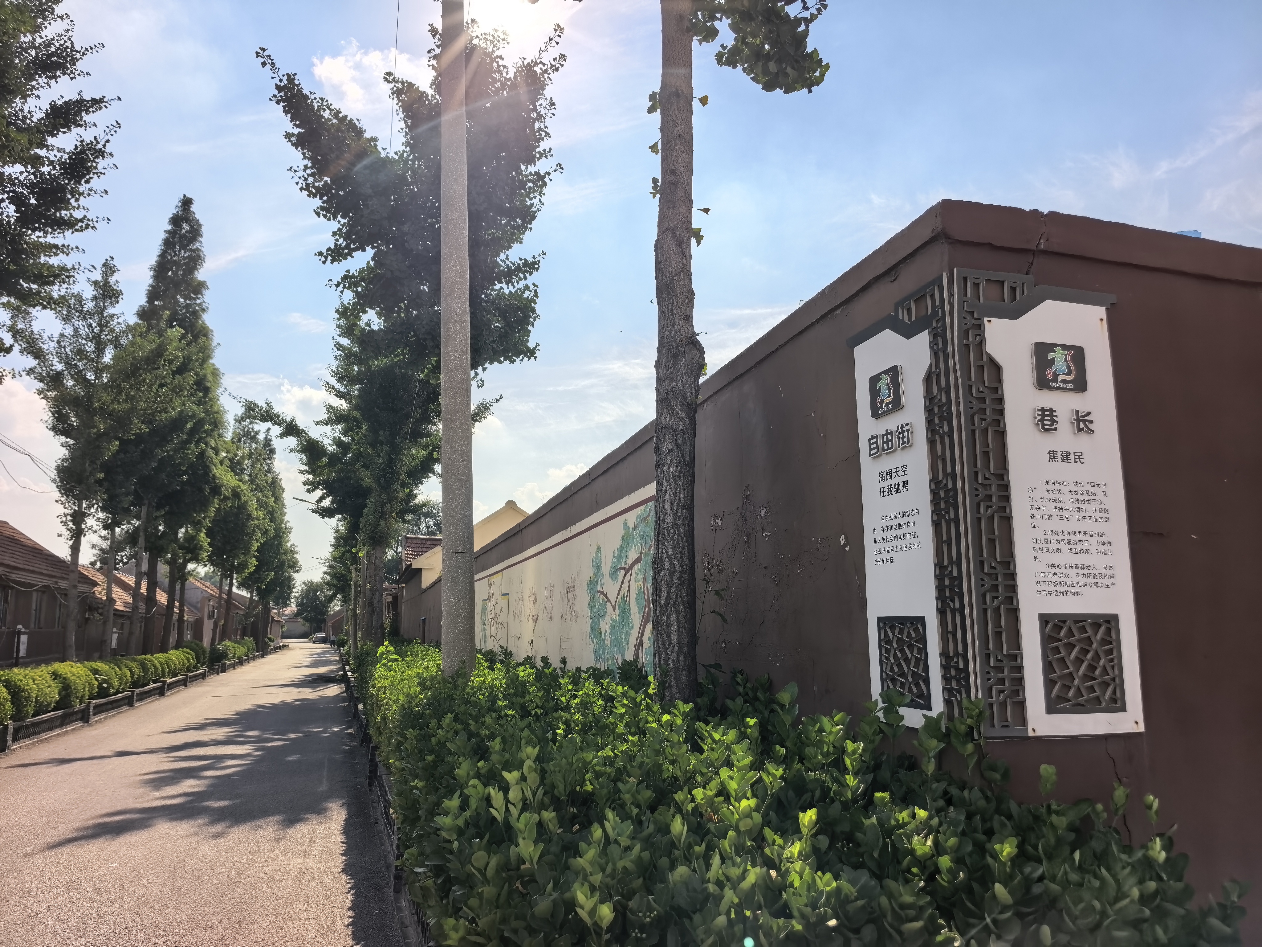青岛乡里乡亲丨党建引领乡村治理成效 大彭家村:“110不进村”,绘就乡村善治新“枫”景