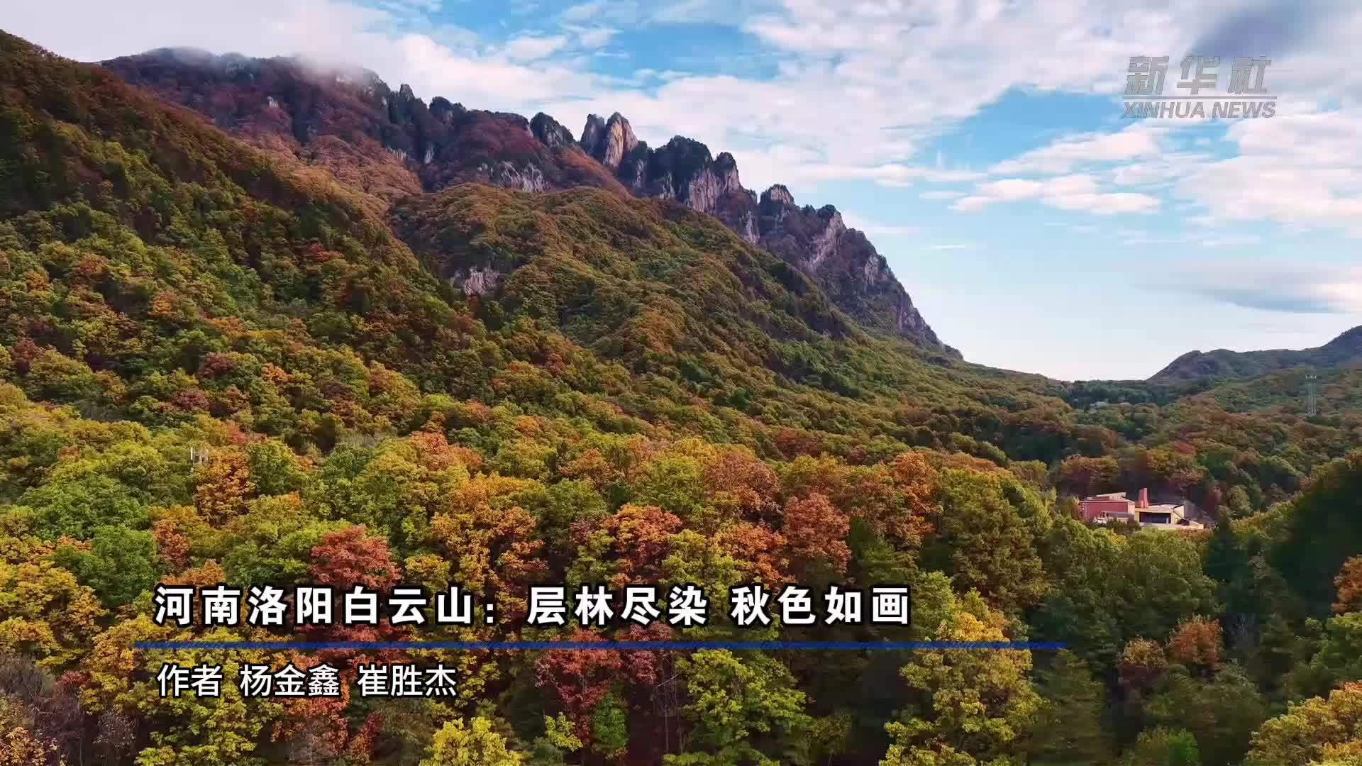 河南洛阳白云山：层林尽染 秋色如画