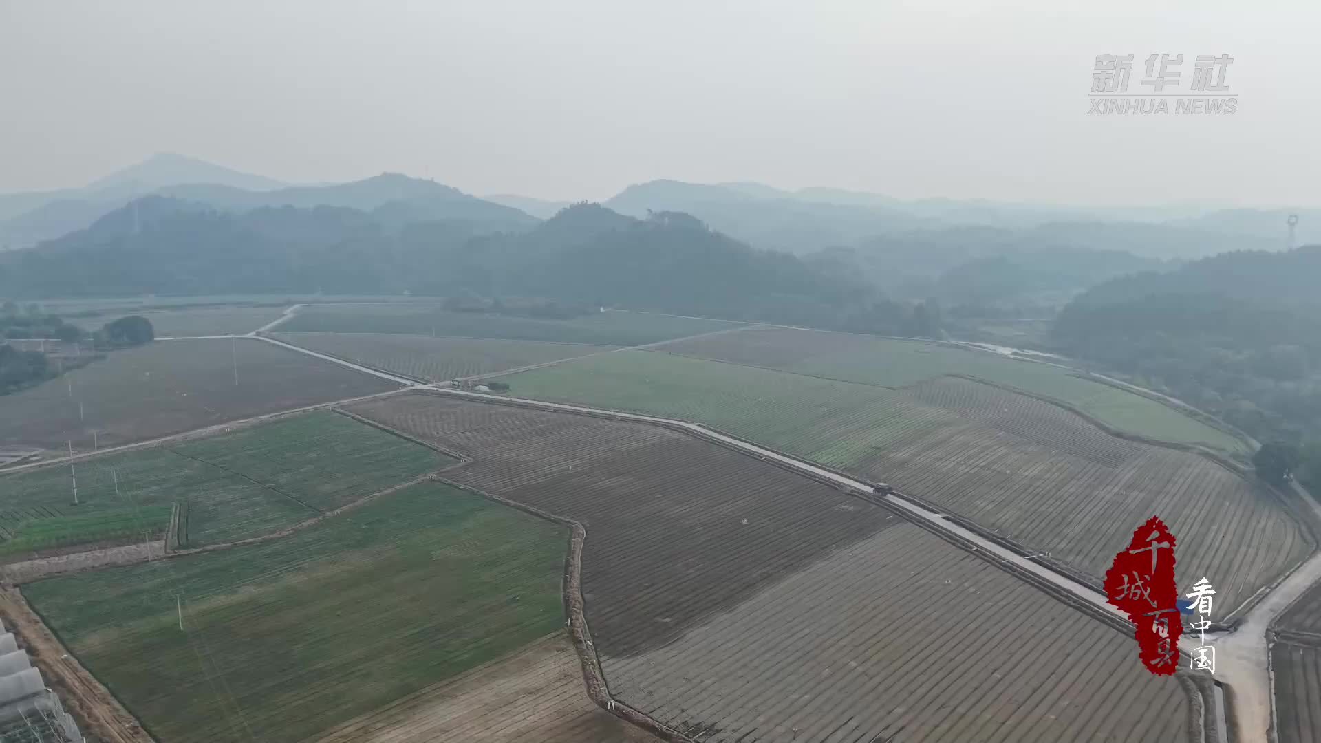 千城百县看中国｜湖南新田：富硒鲜蔬走向广阔市场