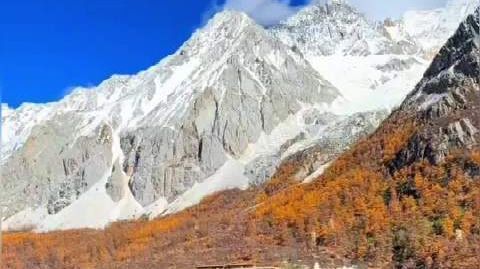 #四川的秋天是浓颜系的# 【#川西彩林迎来最佳观赏期#】雪山、海子与