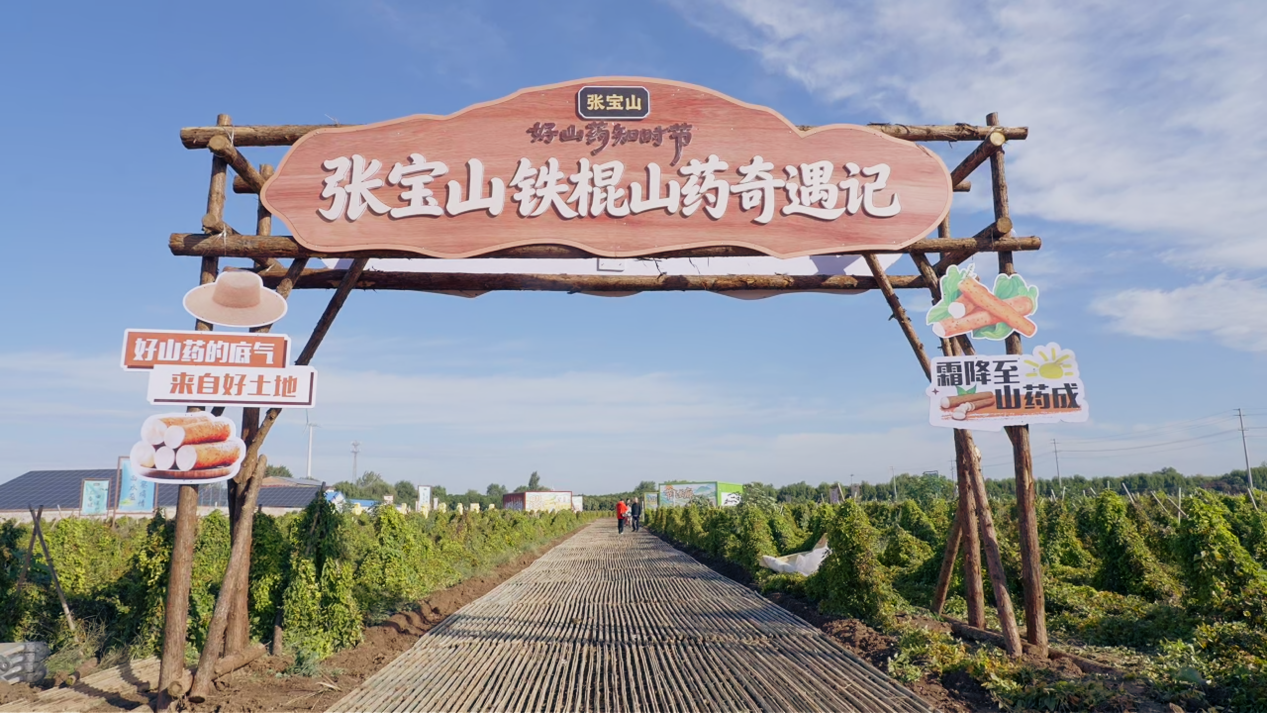 一场“山药奇遇记”，带你沉浸式感受二十四节气里的农耕农趣