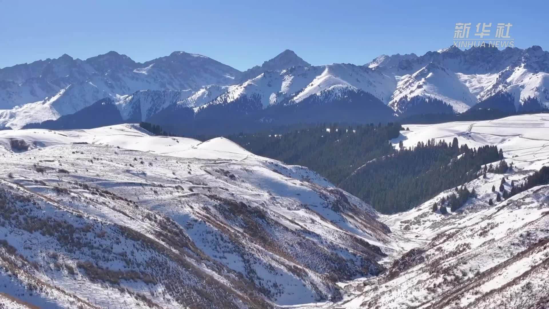 瞰中国丨新疆奇台：雪后初晴 水墨山林