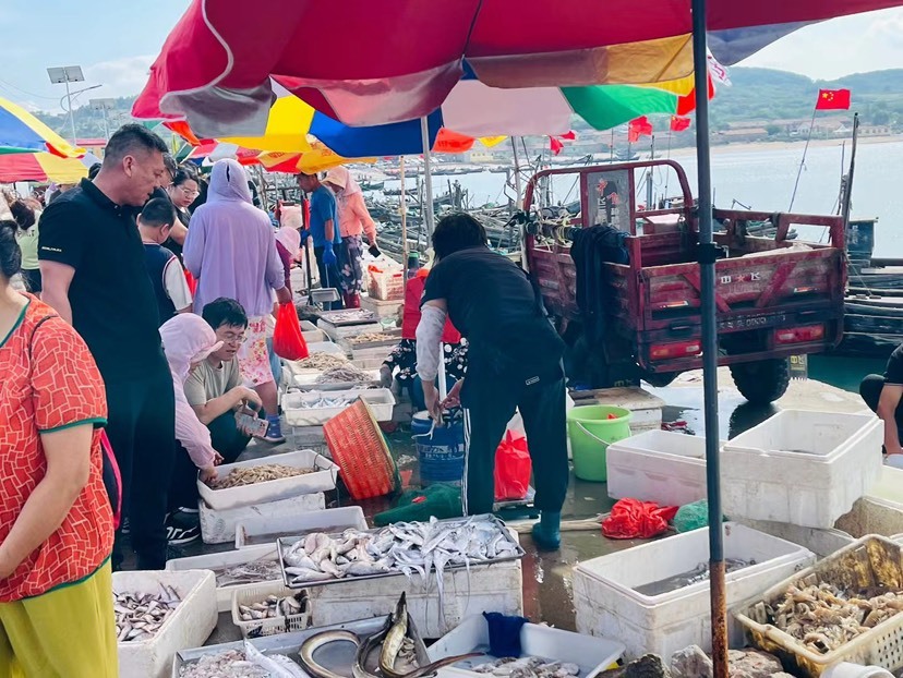 护航开海“第一鲜”，国寿筑牢海上人身安全防线