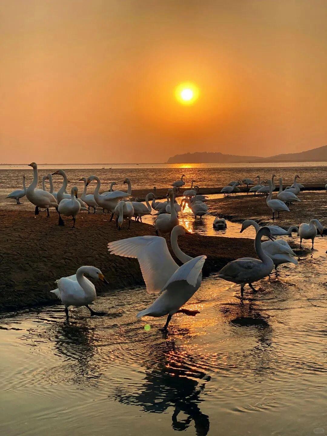 © | 小红书 马小滢
