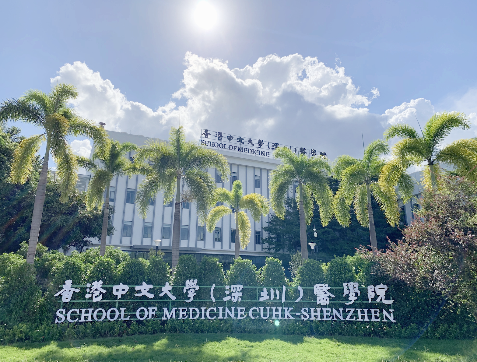 港中大医学院院长赵伟仁教授将同时出任港中大(深圳)医学院院长及协理副校长