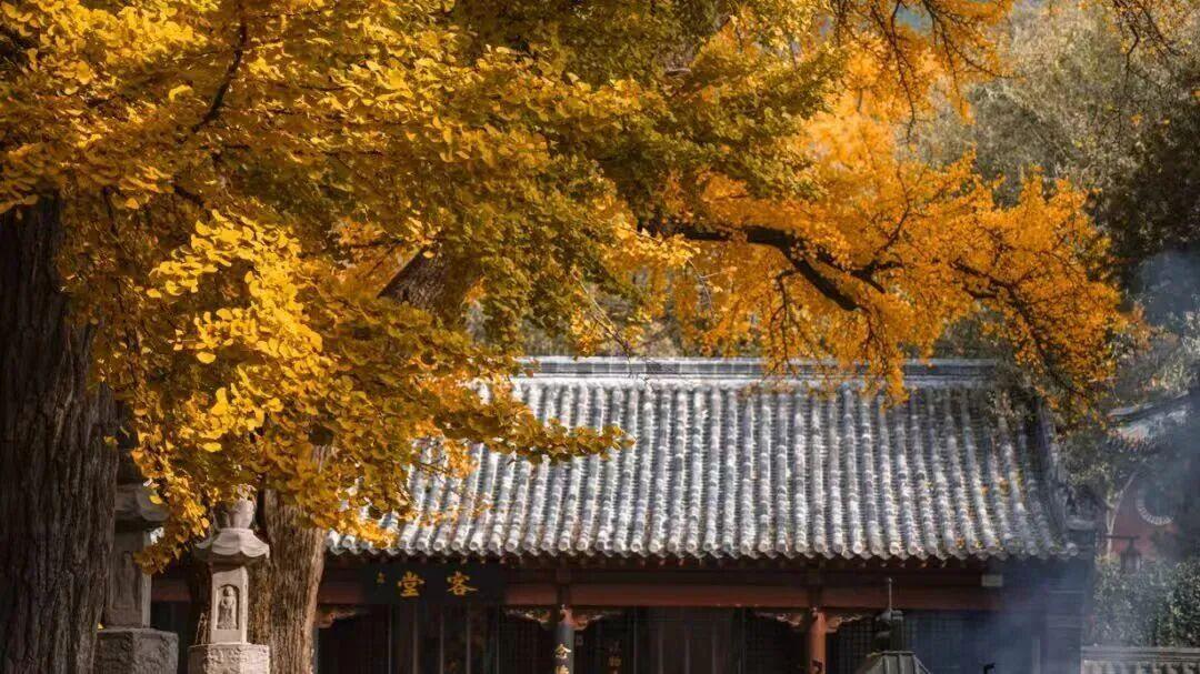 图源:济南灵岩胜境旅游区