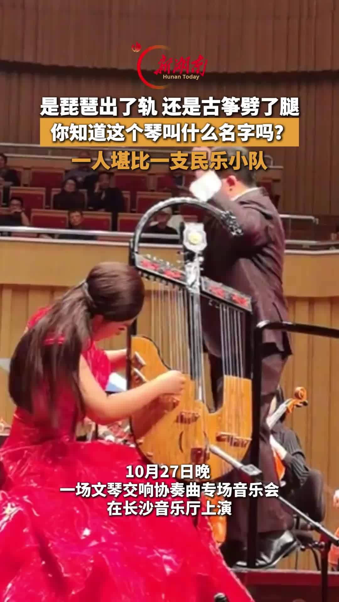 是琵琶出了轨 还是古筝劈了腿 你知道这个琴叫什么名字吗？