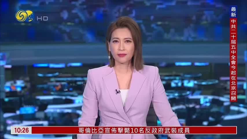 泽连斯基阐述乌克兰和平底线 不接受中立地位与对武装力量的限制