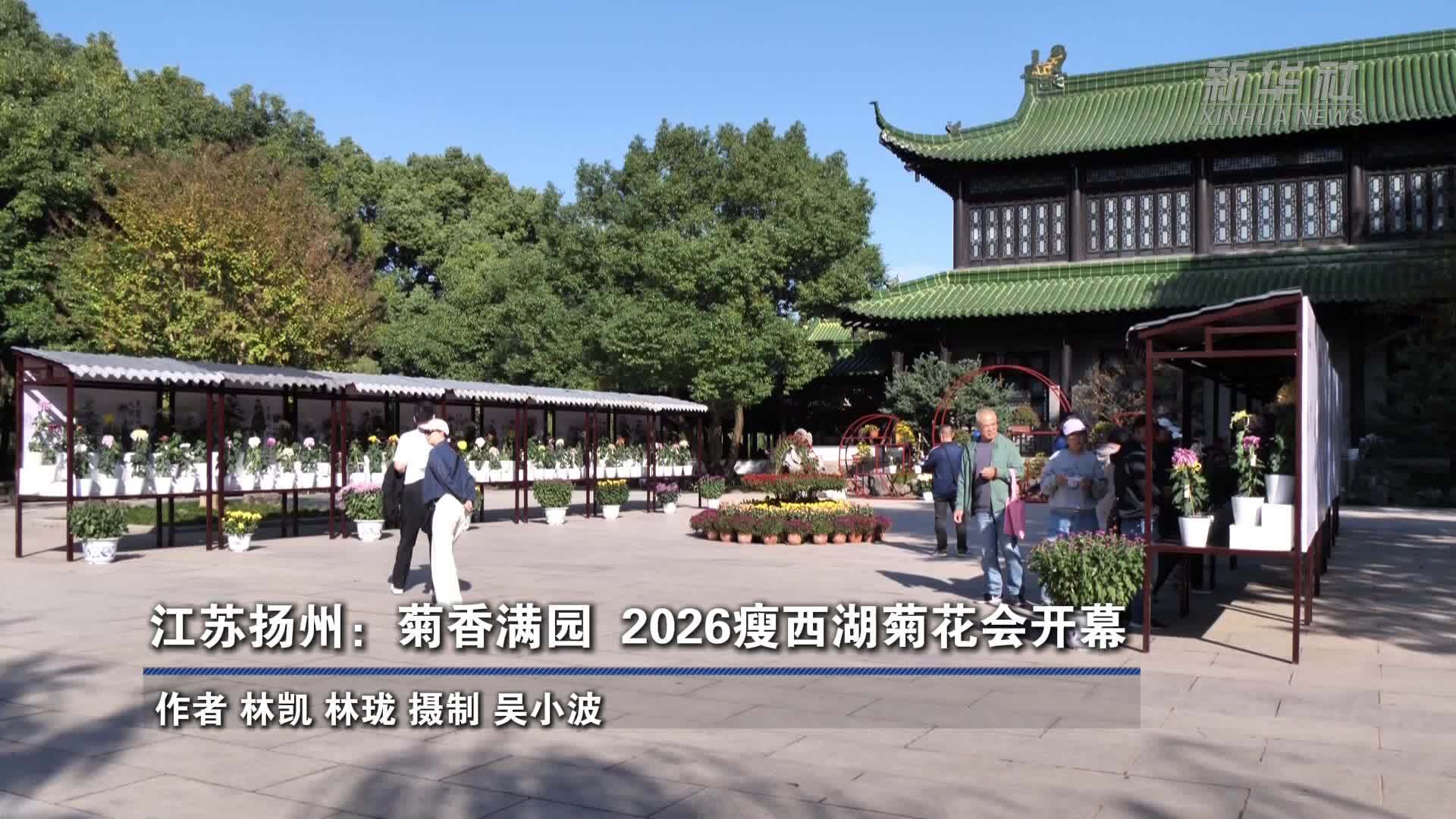 江苏扬州：菊香满园 2026瘦西湖菊花会开幕