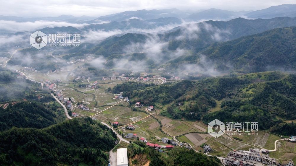 2026年10月27日，江西省遂川县大汾镇群山间云雾翻涌，层峦叠翠，梯田错落，民居散落山间。云海与良田、山林相映，勾勒出秀美的生态画卷。