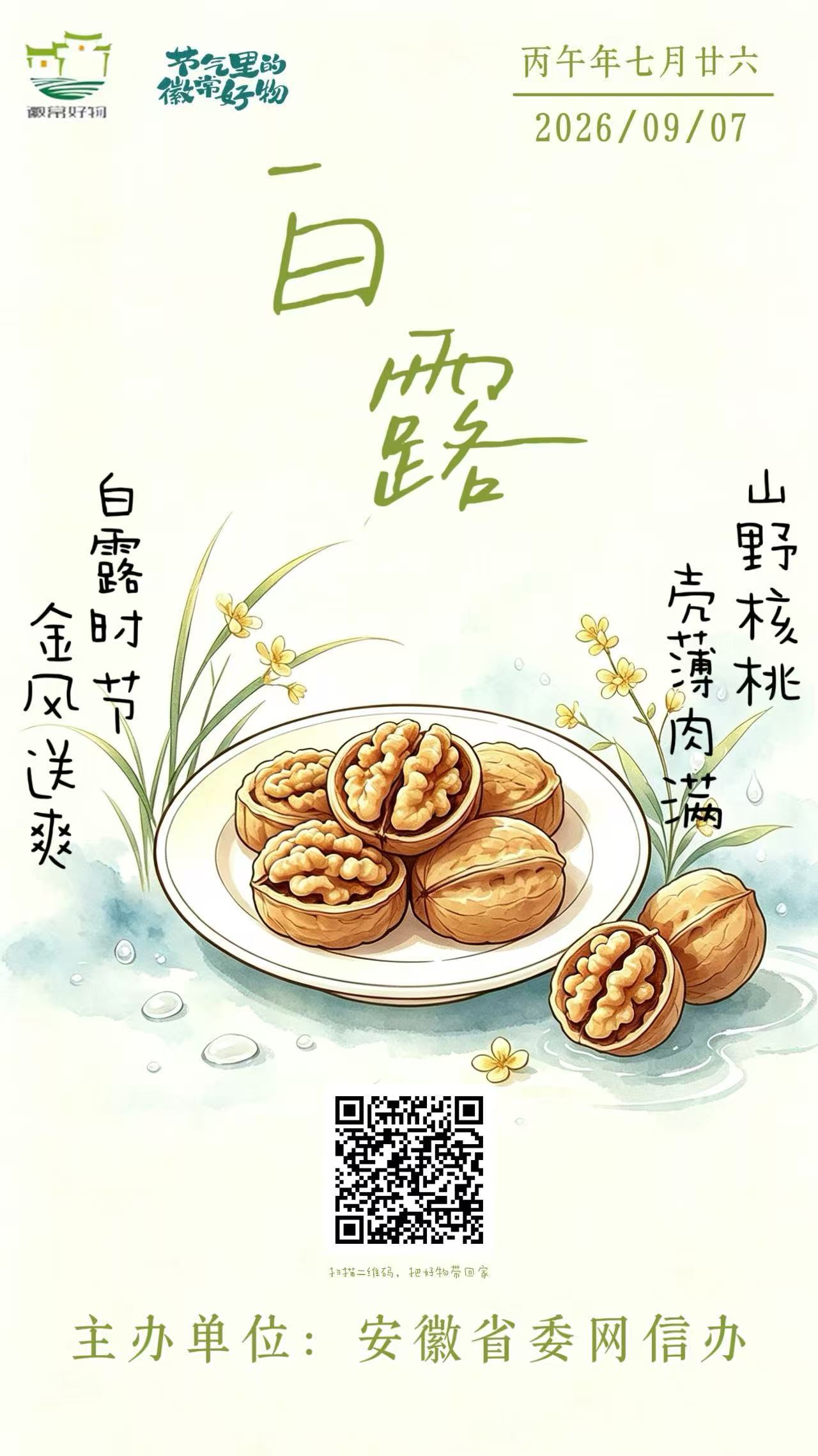 节气里的徽常好物｜白露