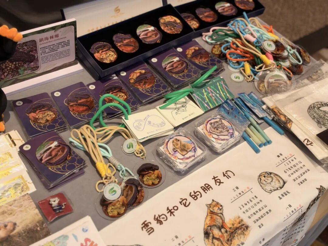 宁波，闪耀香江！2026年联合国中国青少年环境大会，宁波元素刷屏了！