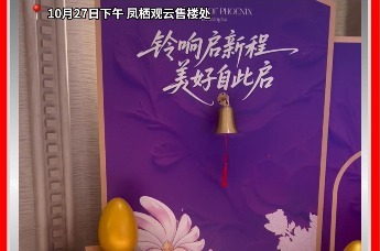 实探凤栖观云认购现场