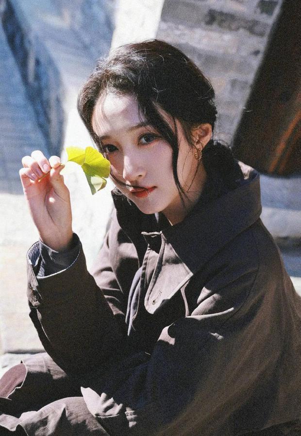 关晓彤秋日胡同美照气质温柔