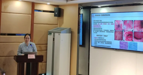 宁晋县医院成功举办溃疡性结肠炎内镜质控及高质量发展研讨会