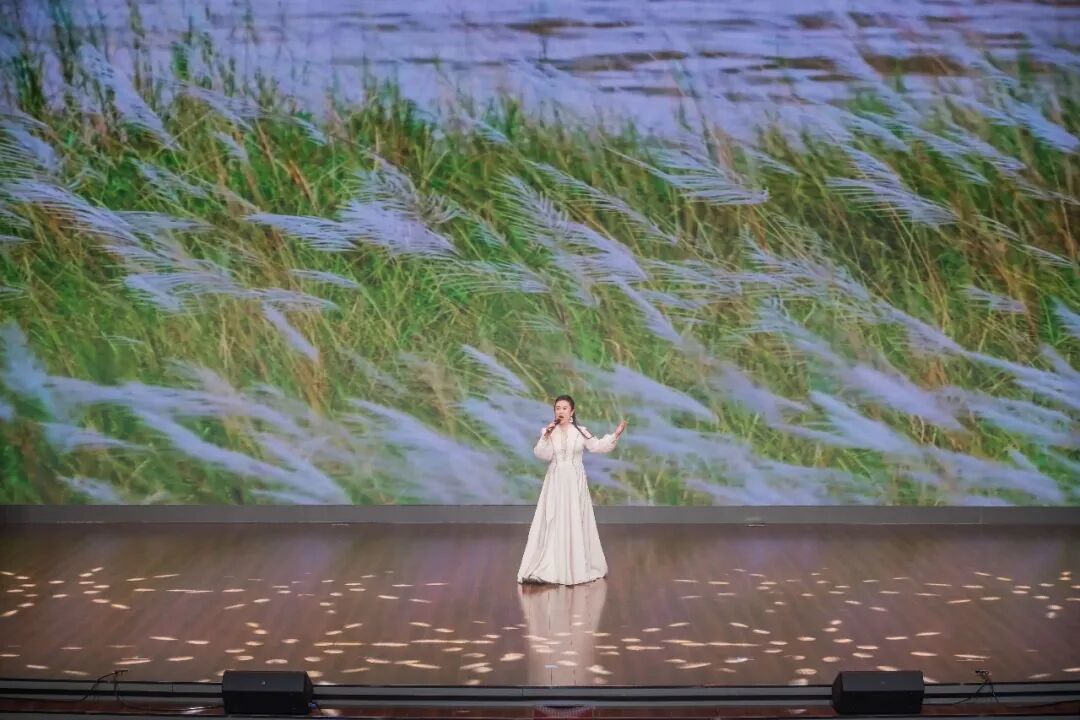 歌曲《苇海》