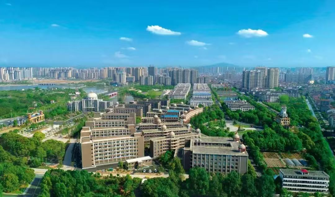 曹政伟:世情暖岁月