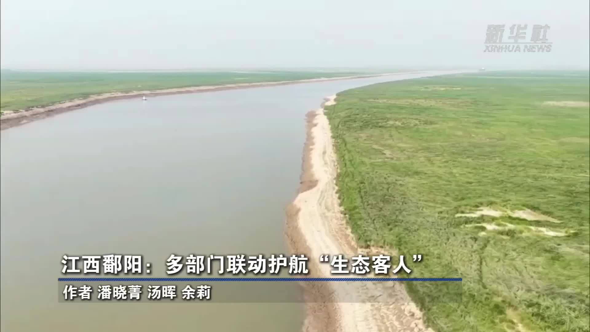 江西鄱阳：多部门联动护航“生态客人”