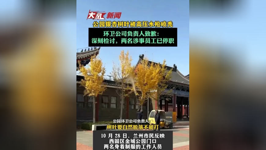 兰州金城公园高压水枪打秃银杏树，环卫公司负责人致歉：深刻检讨，两名涉事员工已停职