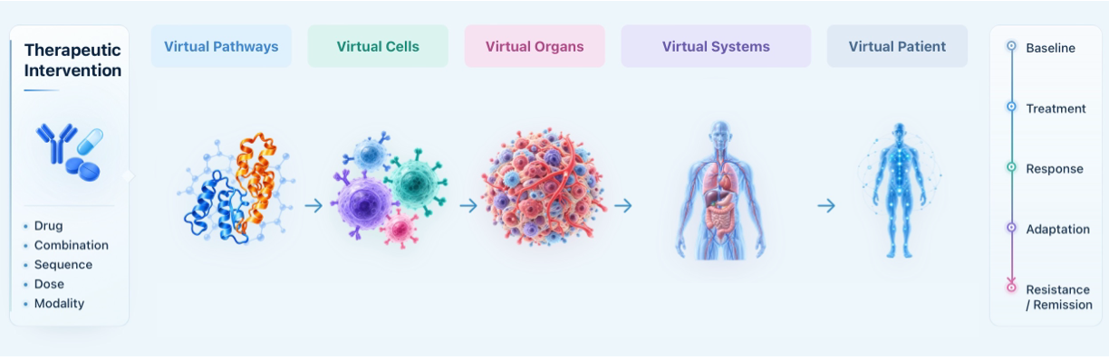 AI制药走向虚拟人体：Differentia Bio用前瞻性临床证据验证新范式