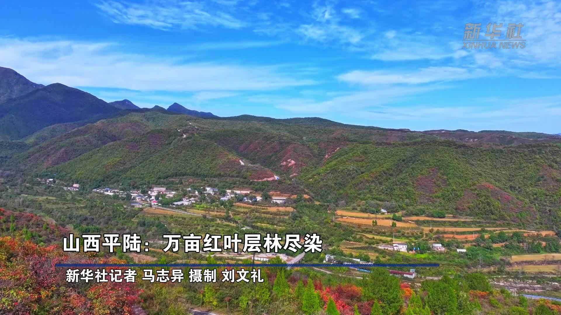 山西平陆：万亩红叶层林尽染