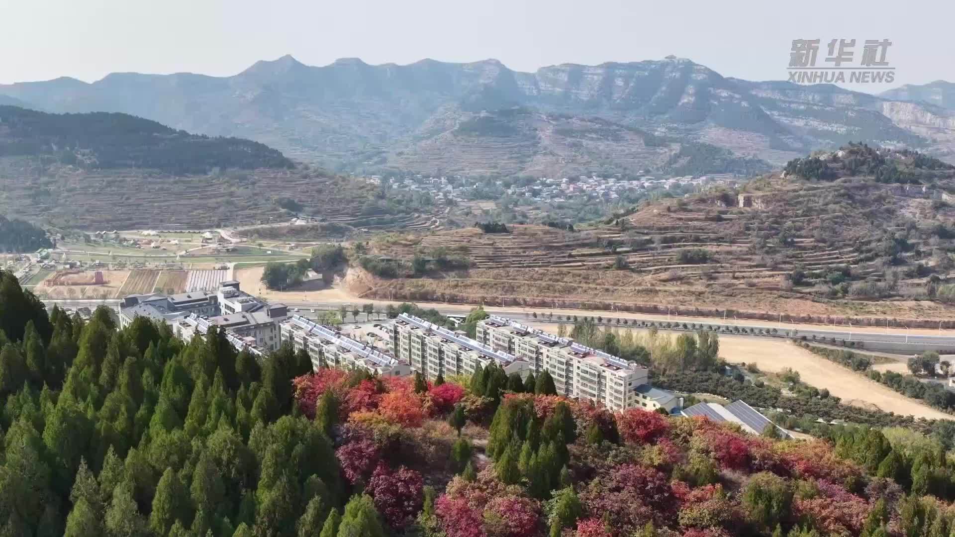 石头山上“种”出绿富美