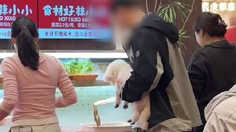 麻辣香锅店回应顾客抱着狗选食材【顾客抱着狗选食材,武汉涉事麻辣香锅店