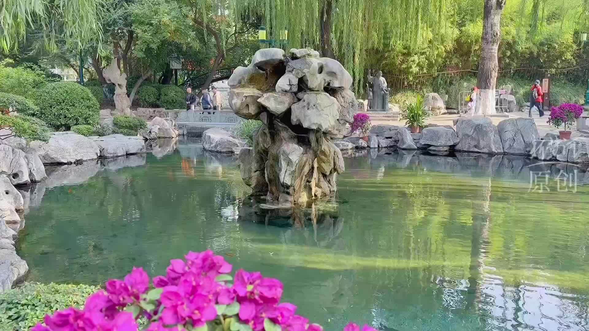 济南五龙潭月牙泉进入秋冬季“休眠模式”