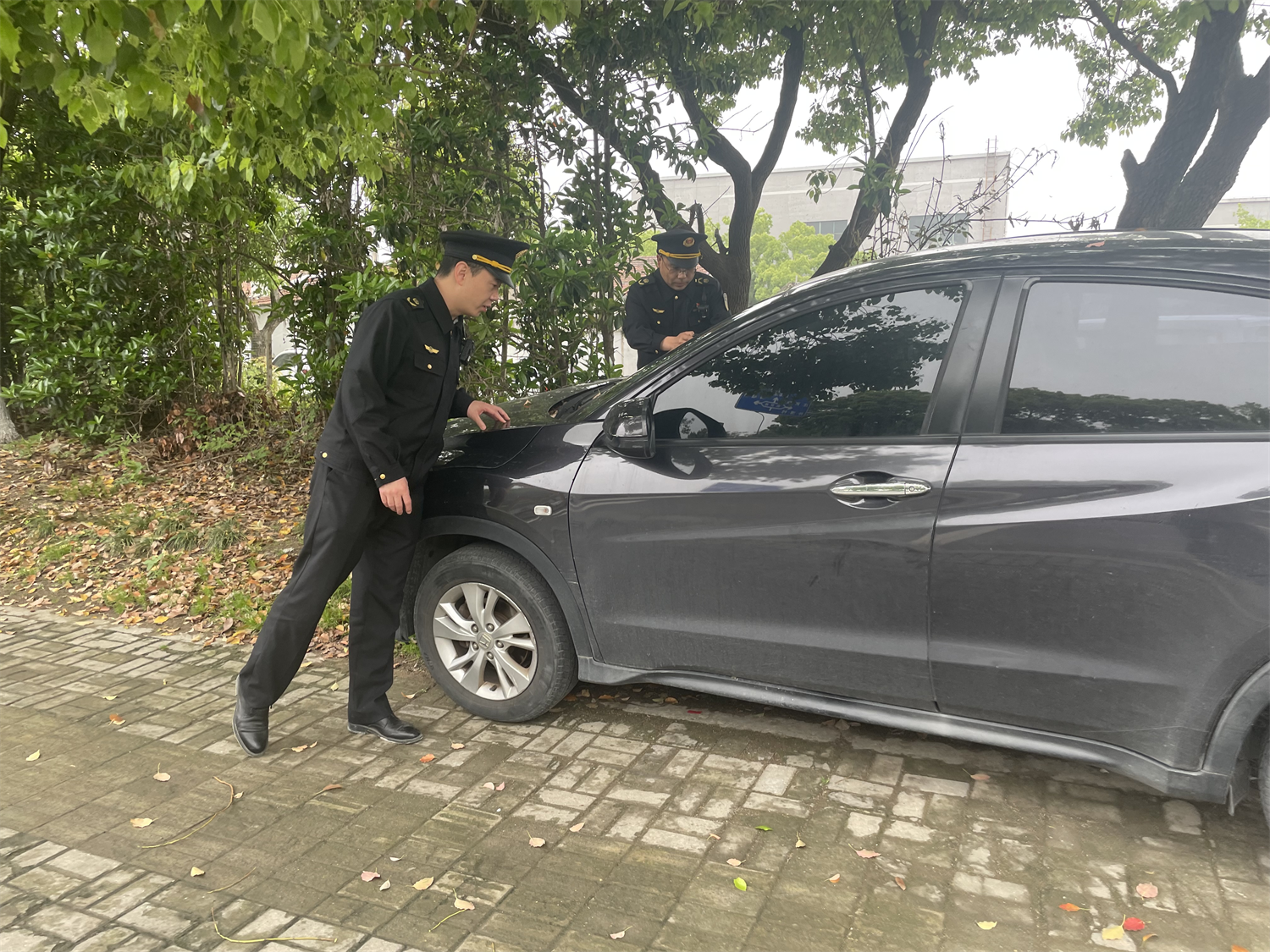 “递进式”执法管住绿地任性停车