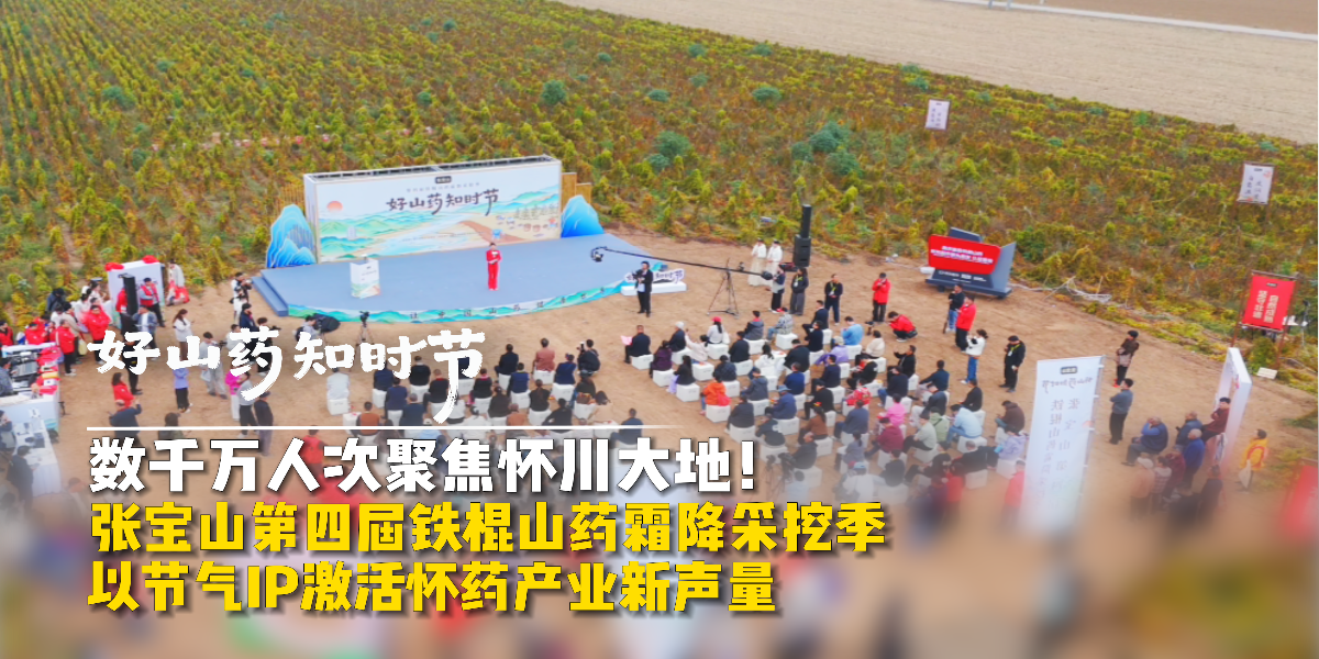数千万人次聚焦！张宝山铁棍山药霜降采挖季激活怀药产业新声量
