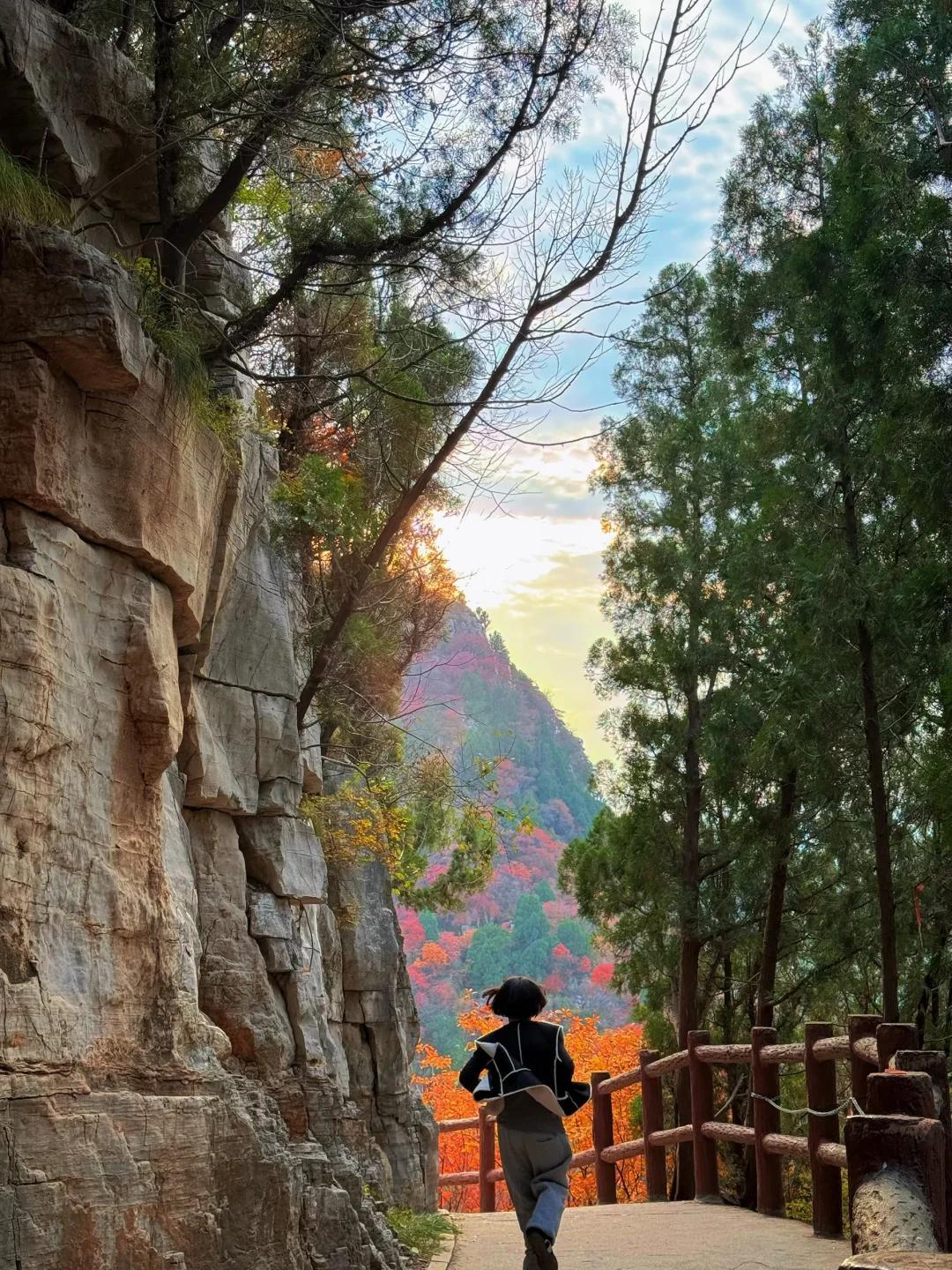 图|小红书 一个想开的花🥀