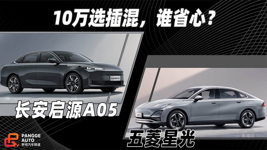 10万选插混，谁更省心？