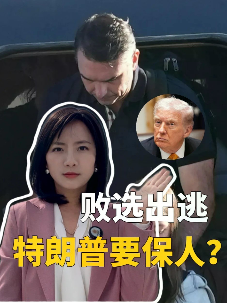 巴西总统候选人败选后逃往美国，特朗普要出手保护他？#全球创作者计划 #美国 #巴西