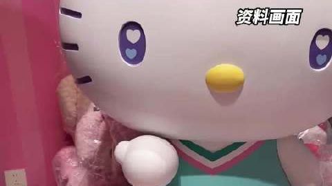 三丽鸥回应中日声明发布时间不一致 先发中文致歉声明再发日文版，三丽鸥
