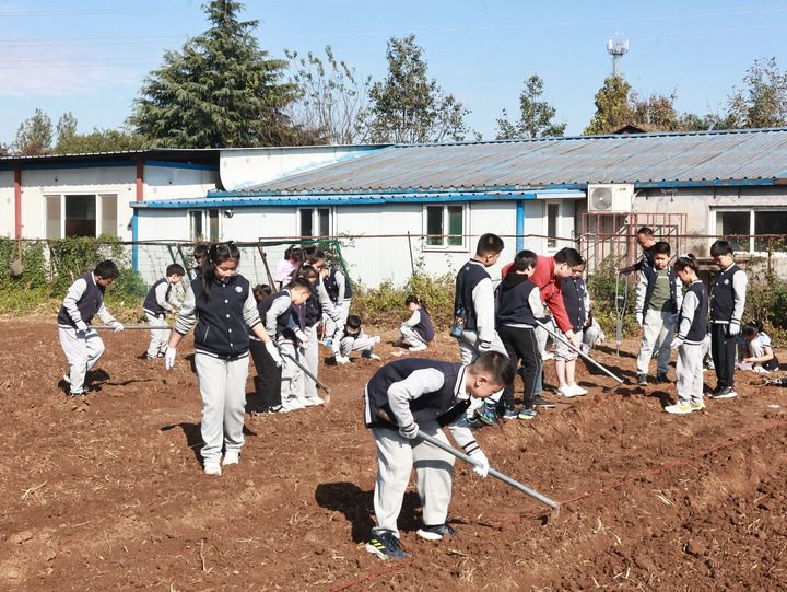 山东师范大学附属小学的学生在校外实践。受访单位供图