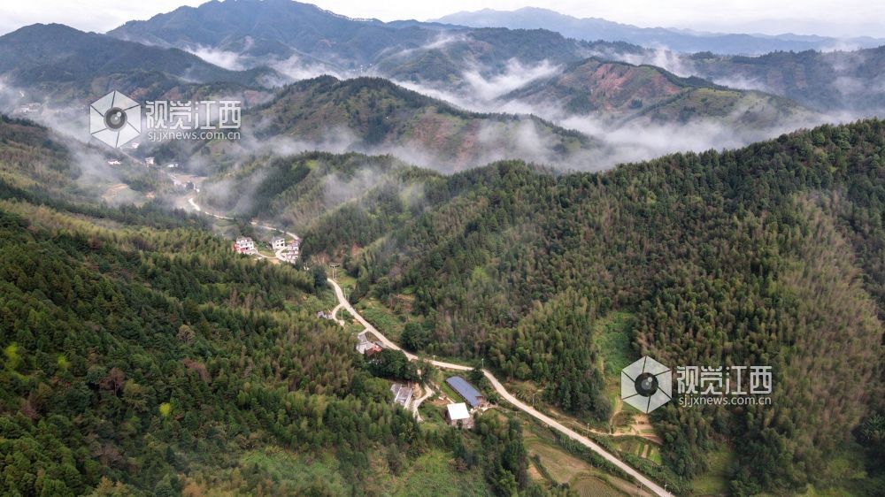 2026年10月27日，江西省遂川县大汾镇群山间云雾翻涌，层峦叠翠，梯田错落，民居散落山间。云海与良田、山林相映，勾勒出秀美的生态画卷。