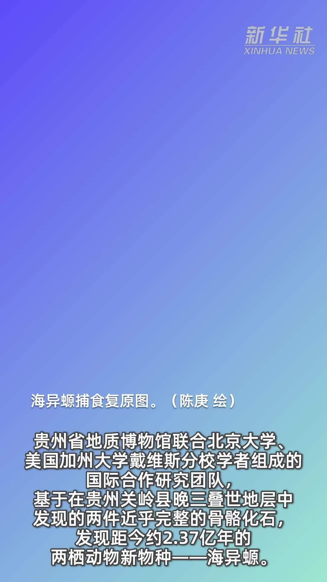 科学家发现远古两栖动物新物种