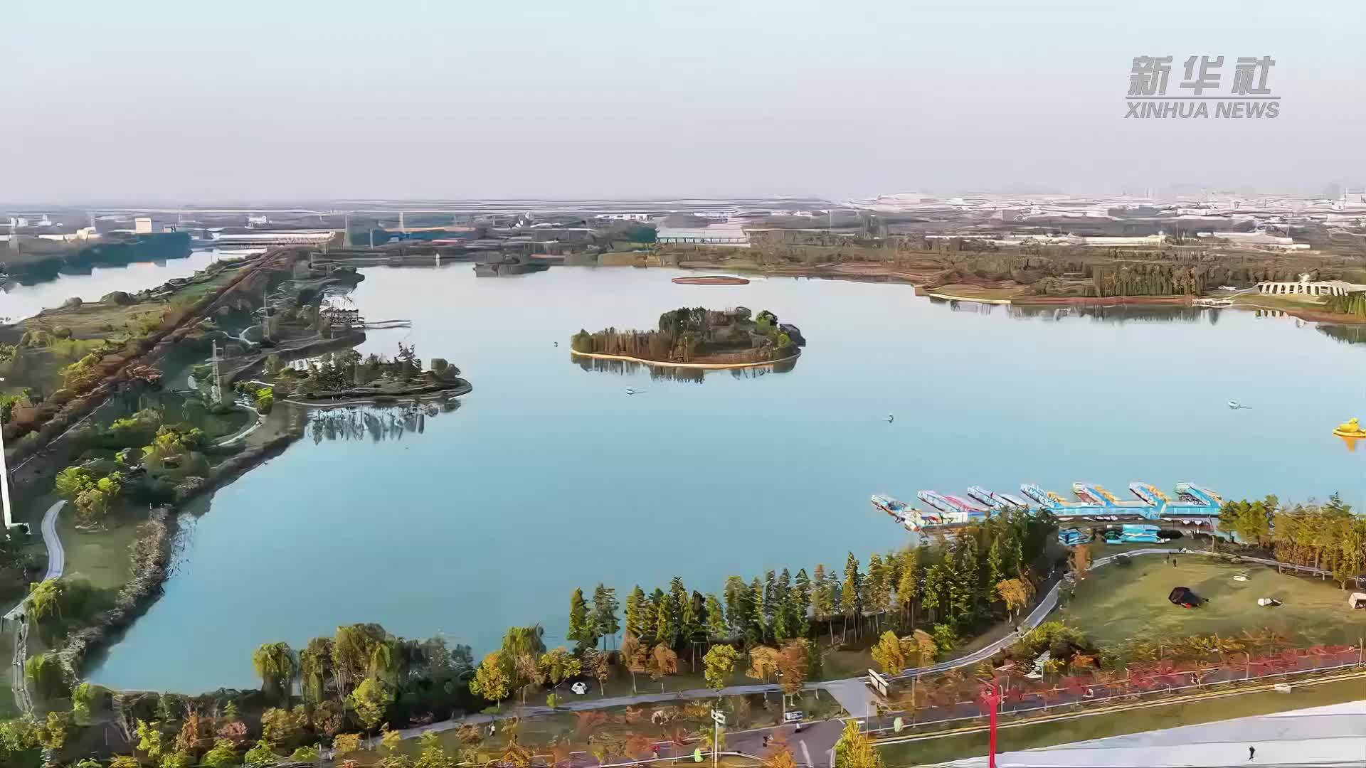 江苏连云港：候鸟陆续抵达 沿海湿地生机盎然