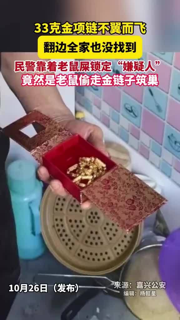 黄金项链不翼而飞警方顺老鼠屎找回