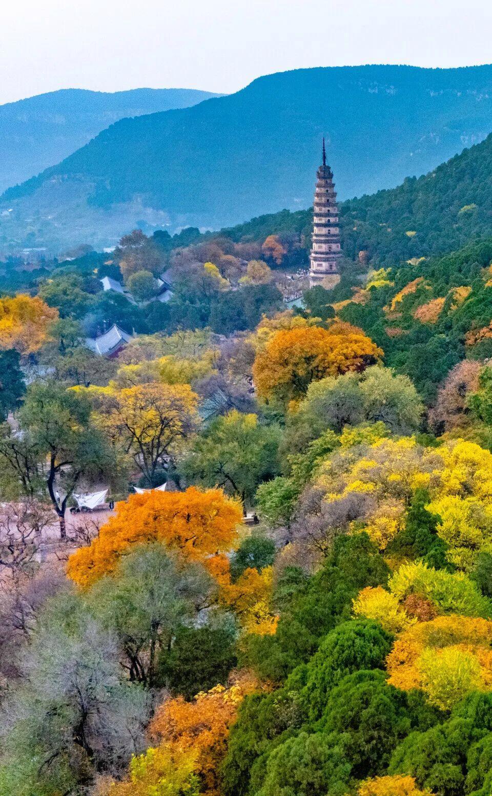 摄影:李锋 往年11月于灵岩寺