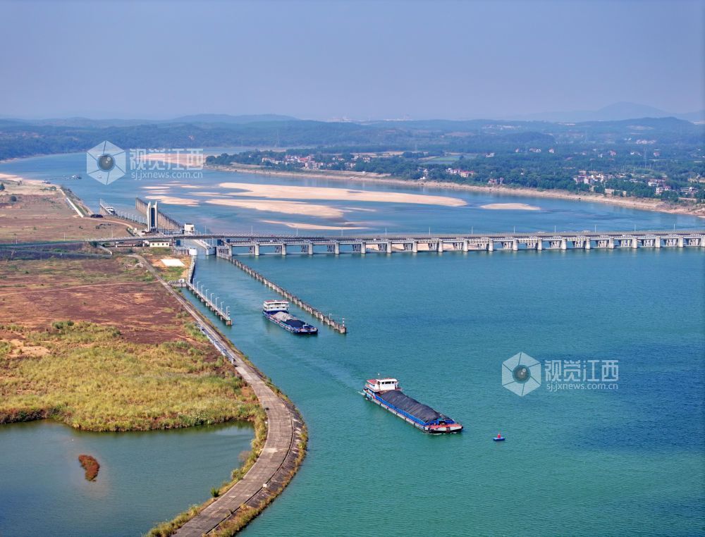2026年10月23日,江西赣江航道泰和段,货运船舶有序通过泰和航电枢纽大坝船闸。