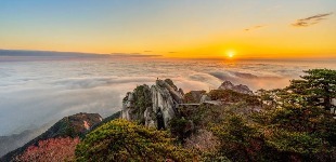 文旅先声