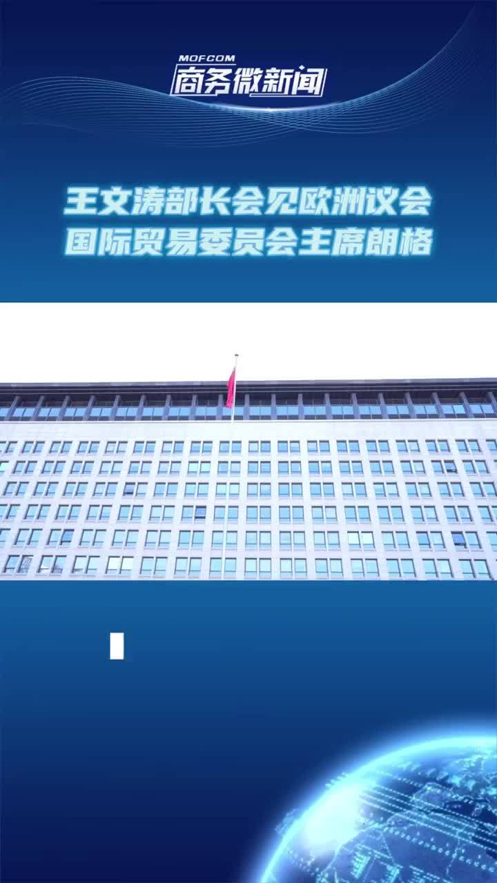 视频|王文涛部长会见欧洲议会国际贸易委员会主席朗格