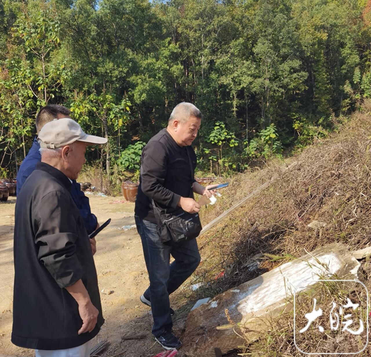 安庆发现“查母李太君”墓碑，补证陈独秀母系家世线索