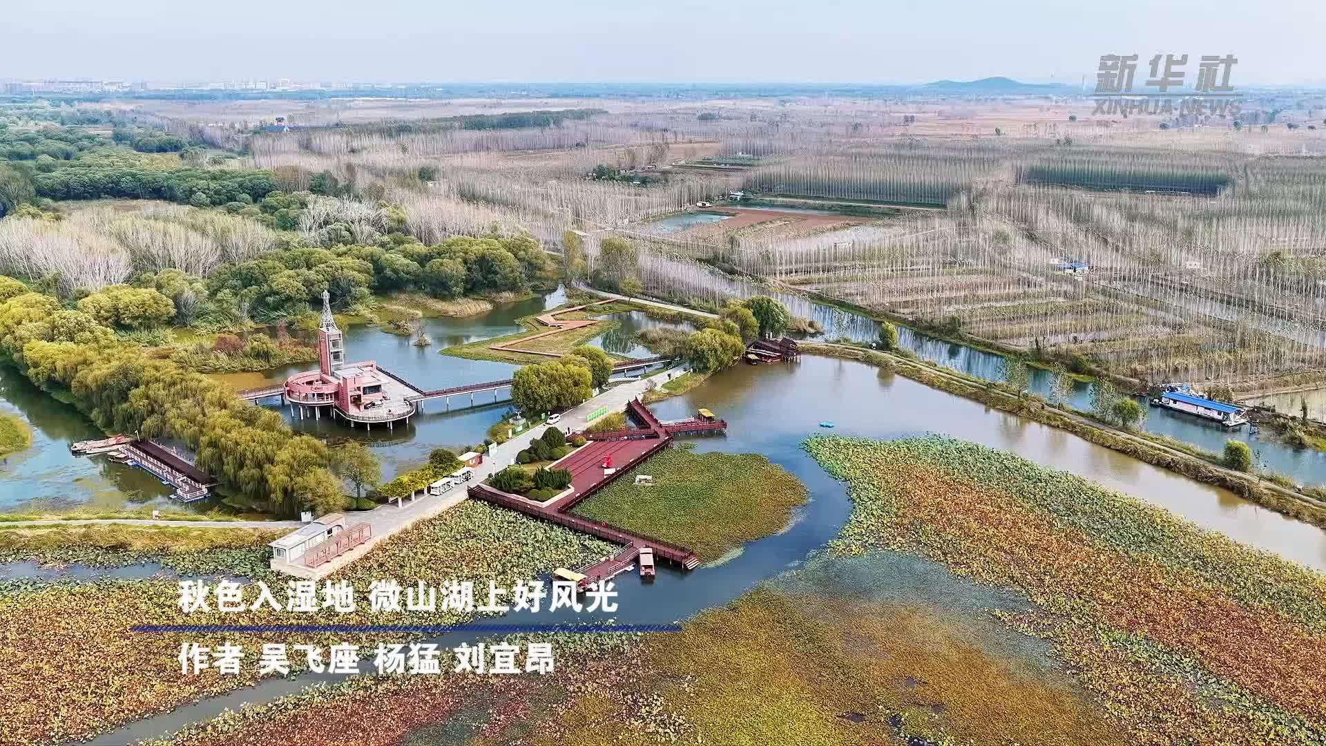 秋色入湿地 微山湖上好风光